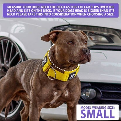 Bully Billows Rainbow 5cm Slip On Ramsay Collar