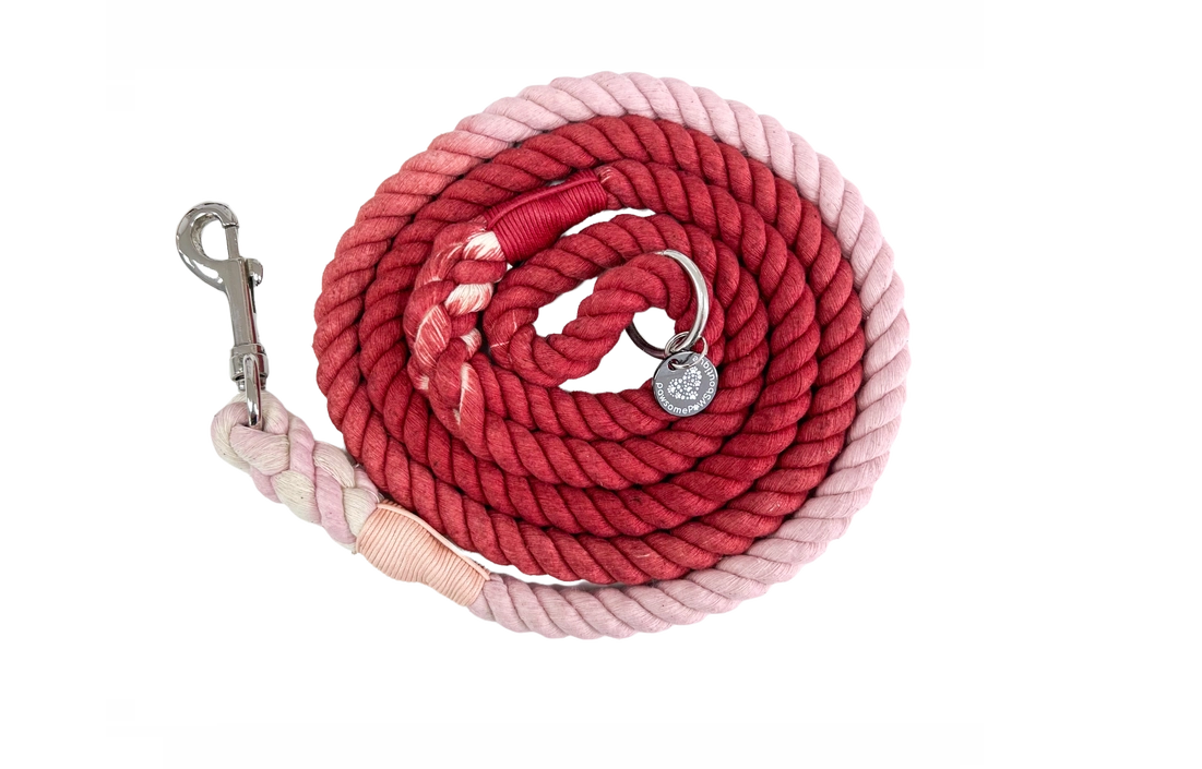 Starburst Rope Lead | The Dogs Diner