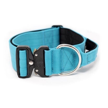 Light blue store dog collar