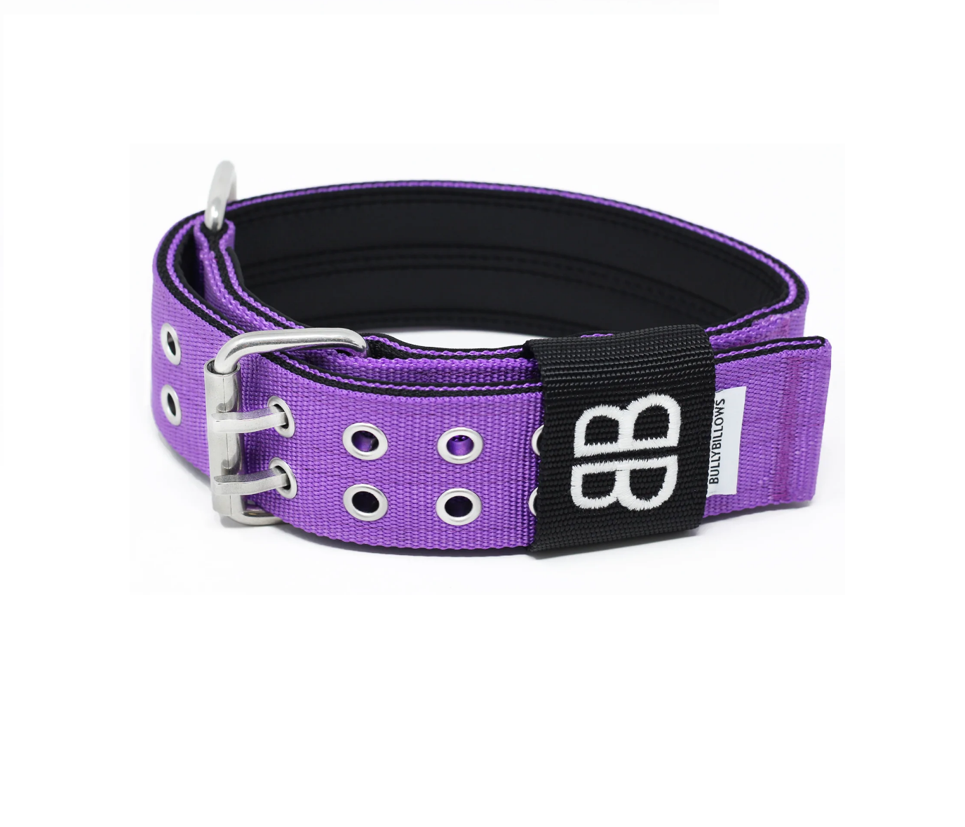 Sporting collars hotsell