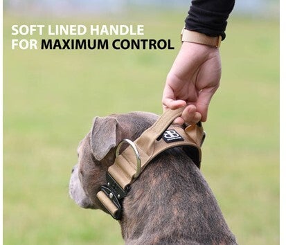 Military collars new arrivals