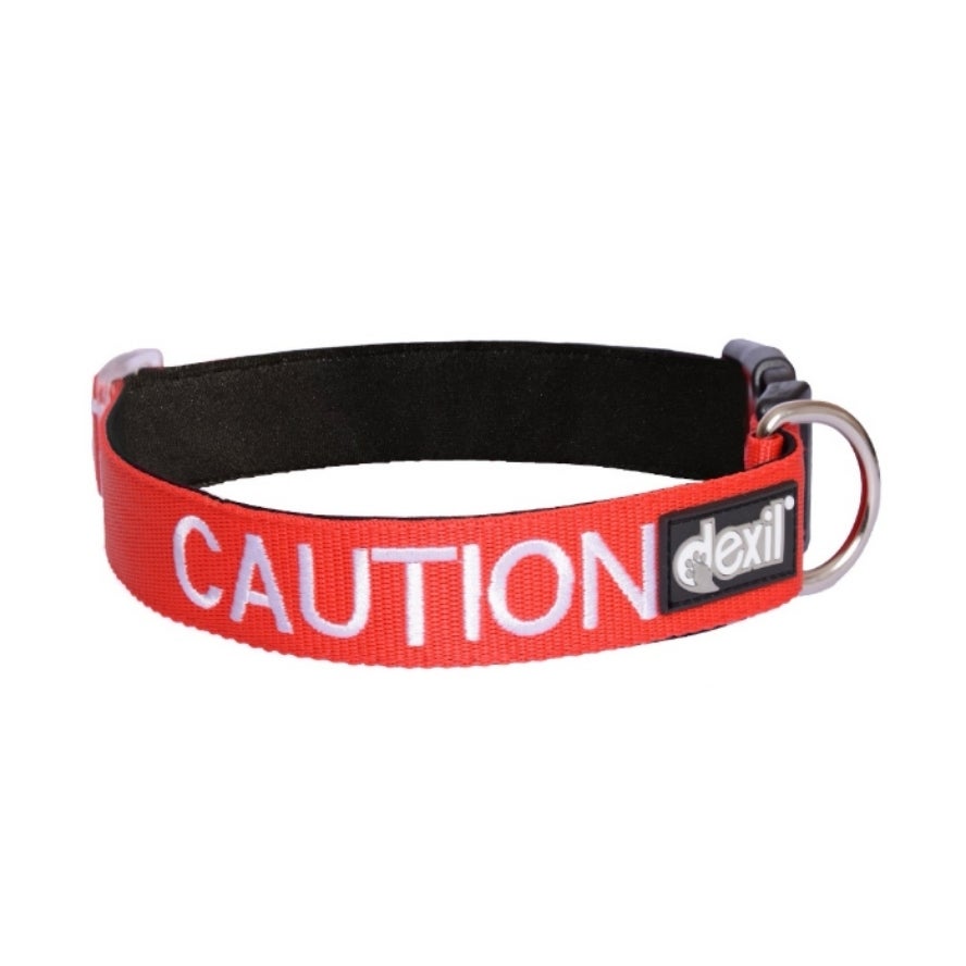 Color coded dog leashes clearance