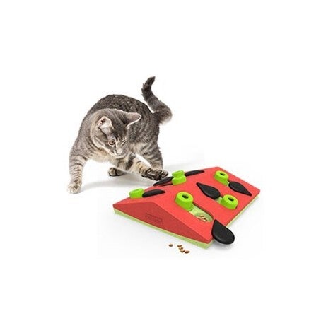 Nina Ottosson Melon Madness Puzzle and Play Cat Treat Puzzle