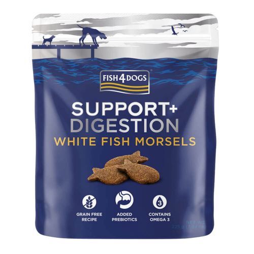 White fish shop for dogs
