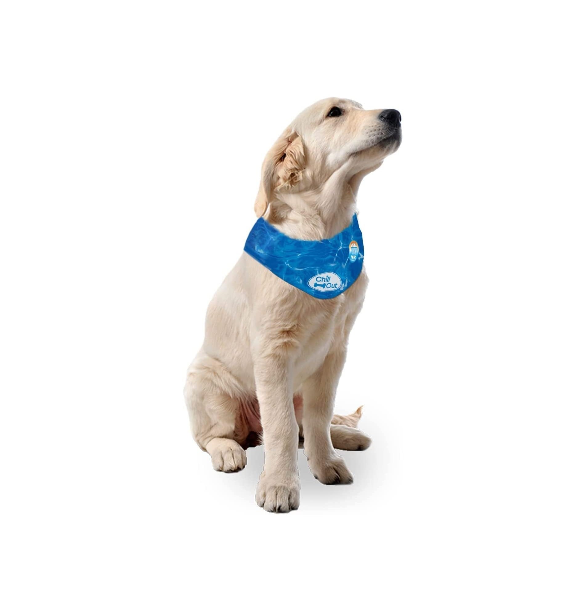 All For Paws Chill Out Ice Bandana Large