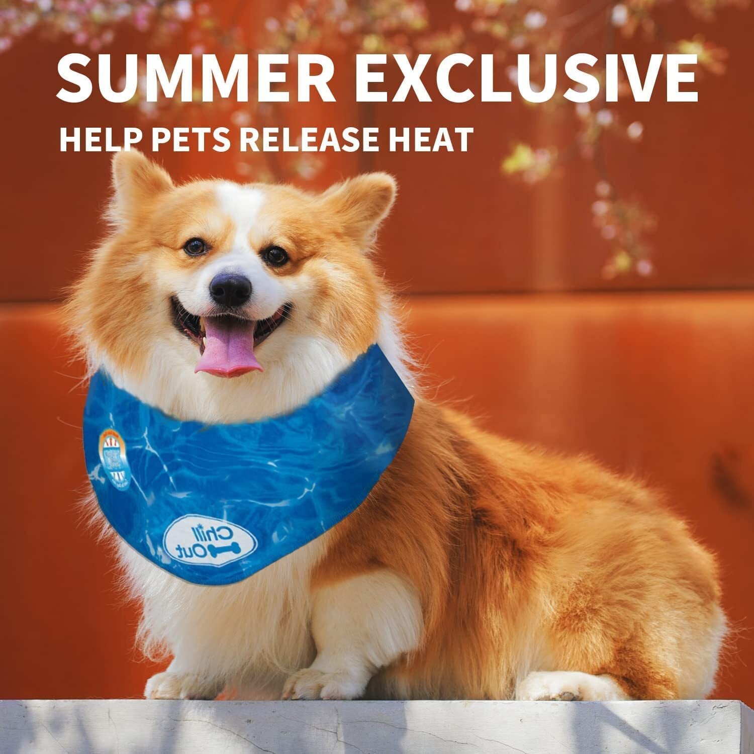 All For Paws Chill Out Ice Bandana Large The Dogs Diner