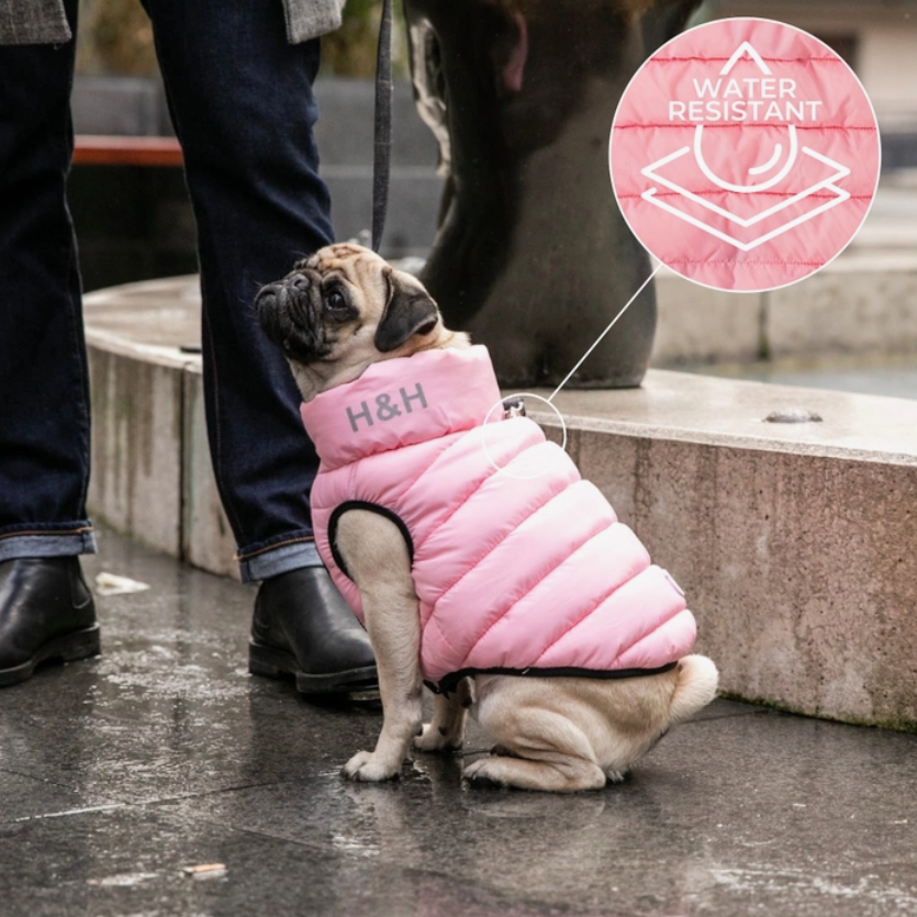 H&h dog coat clearance
